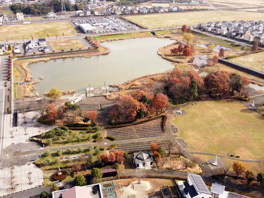 ふれあい公園