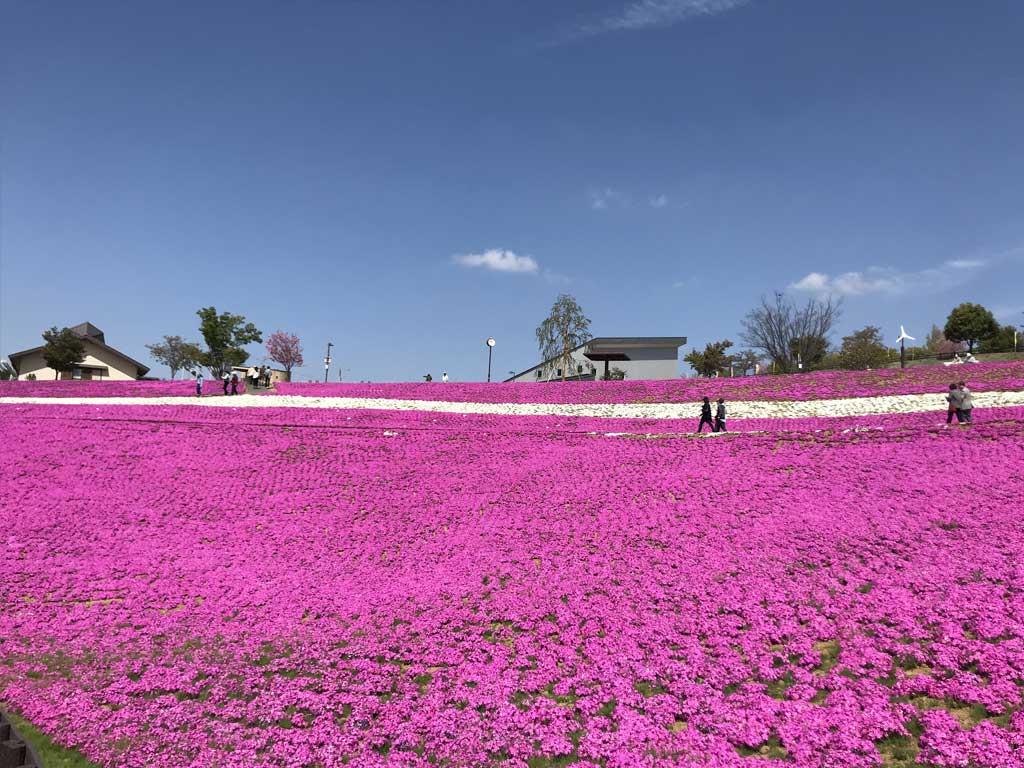 八王子山公園（太田市北部運動公園）