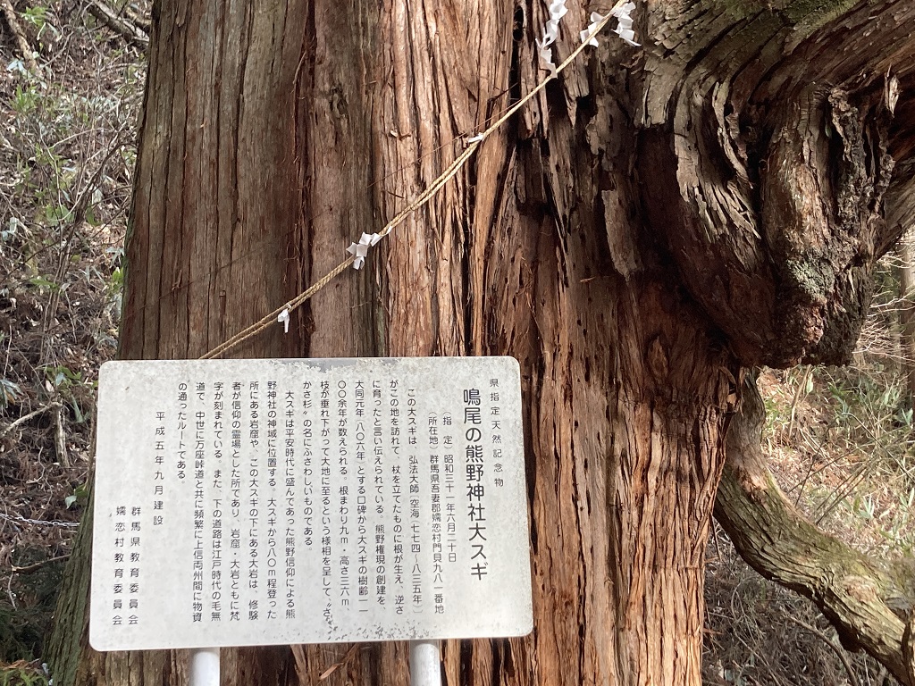 熊野神社鳴尾の大スギ