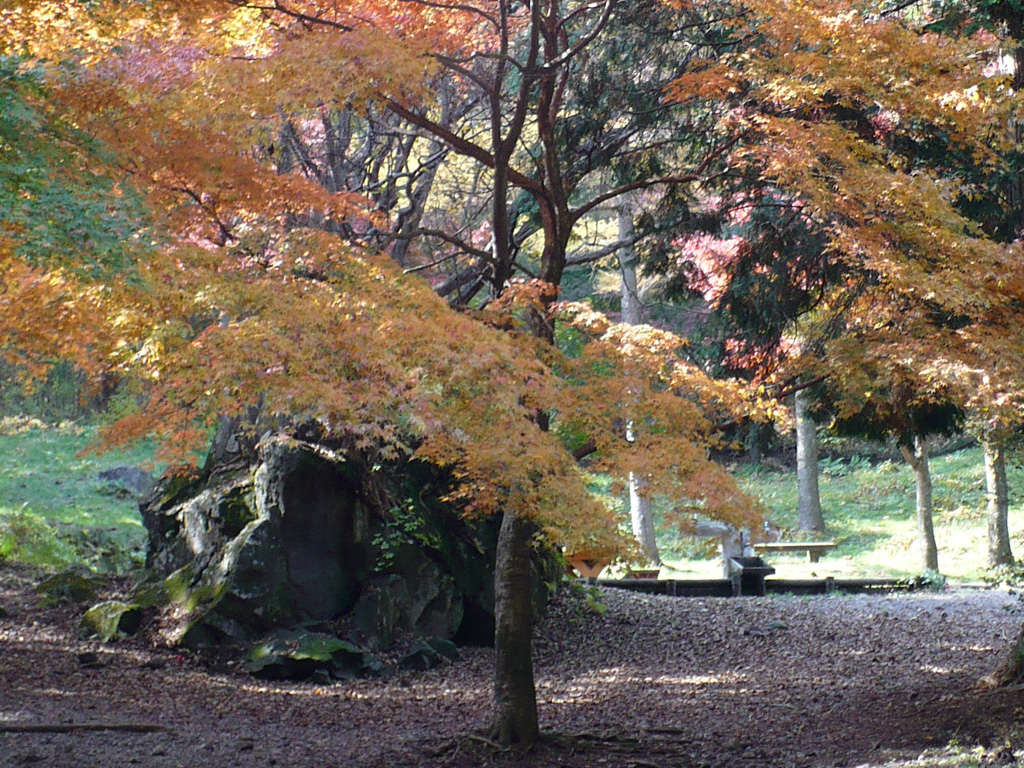 県立伊香保森林公園