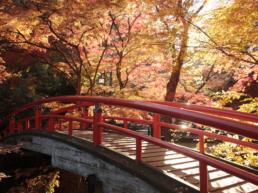 河鹿橋