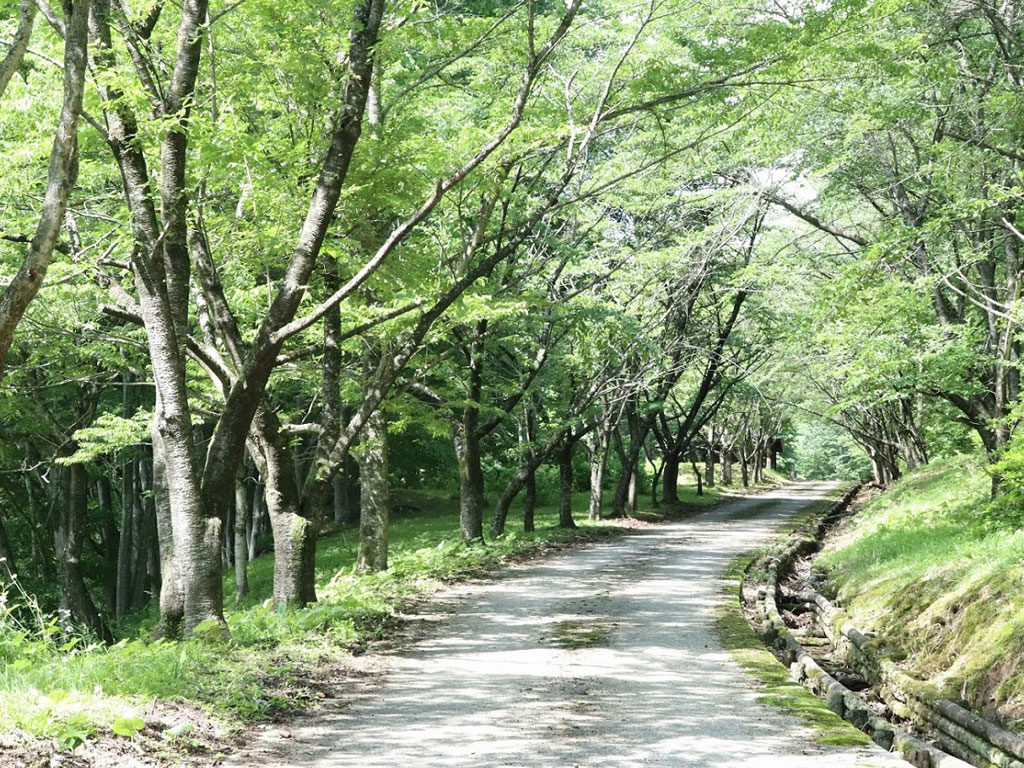 市民の森