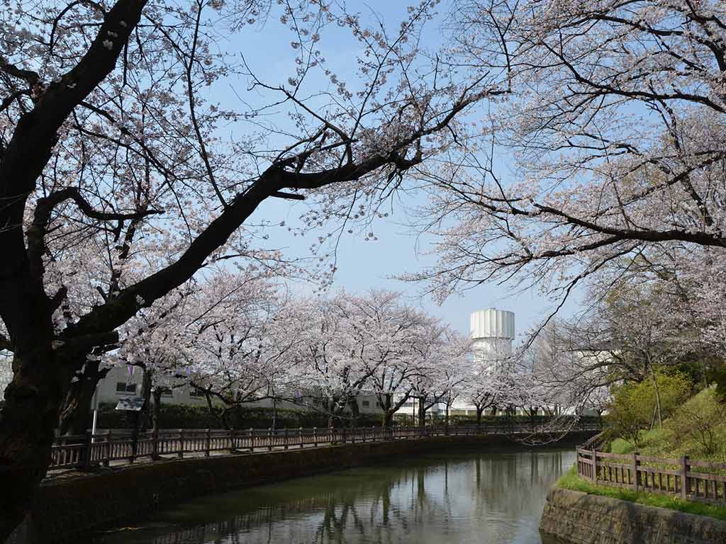 城之内公園