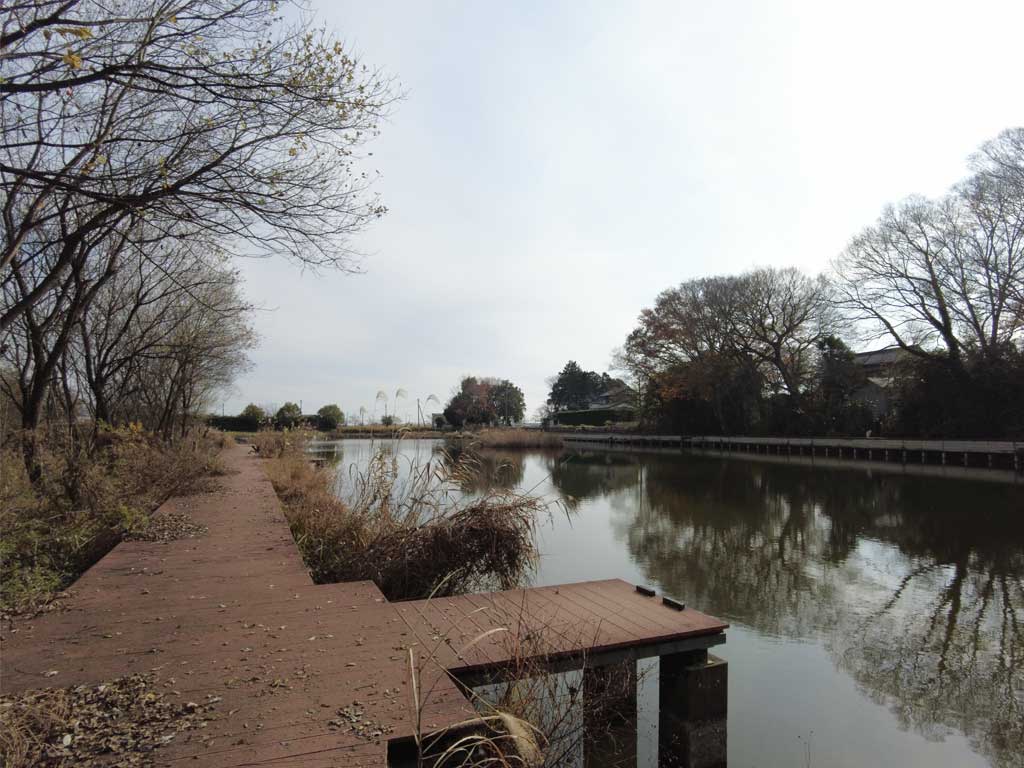 天神池公園